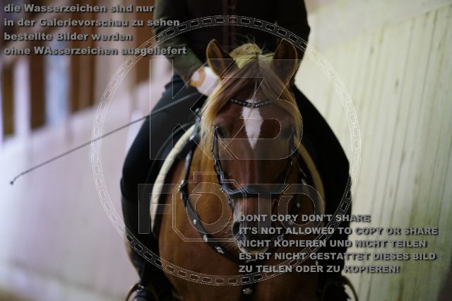 s_K3F06213.JPG